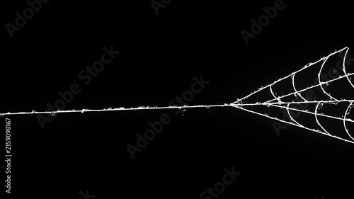 Flexible white spider silk animation expanding dynamic lines, spooky Halloween spider web overlay on clean black background, animated spider web expansion effect with flexible elastic strands,4k