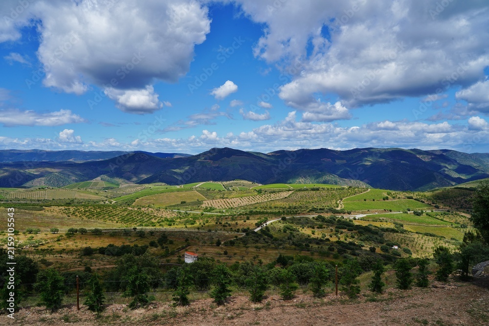Fototapeta premium Vallée du Douro Portugal