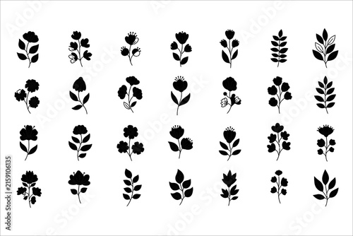 Collection of botanical floral silhouettes and leaf arrangements