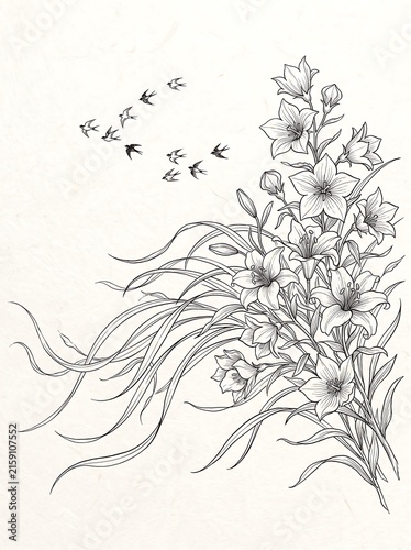 Traditional Asian line art illustration of bellflowers, flowing grass, and flying birds on paper