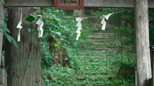 山奥の苔が生えた神社の入口