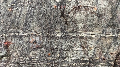Foto Textured Gray Rock Surface with Rust Stains and Natural Layering