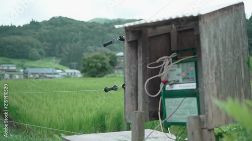 夏の畑に張られた電気柵