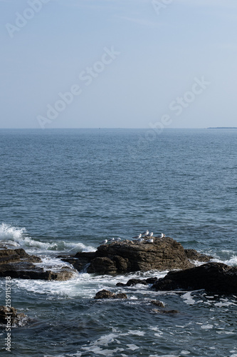 Côte à Préfailles, Loire Atlantique France