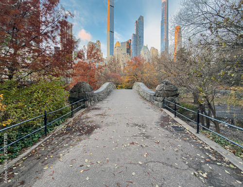 Gapstow Bridge in Central Park, autumn early morning