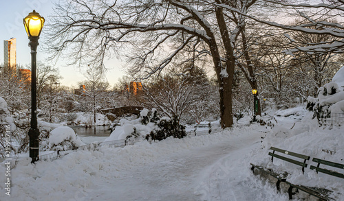 Central Park in winter early morning after Snowstorm