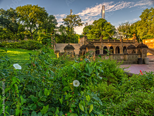 Bethesda Terrace and Fountain in summer