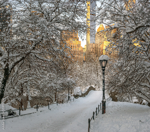Central Park in winter early morning after Snowstorm