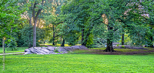 Central Park summer