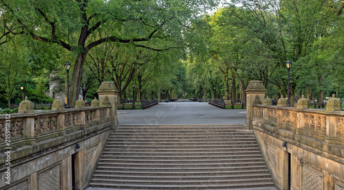Central Park the Mall in summer