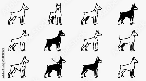 Minimalist Doberman Pinscher dog icon set featuring twelve variations in line art and solid silhouette styles with collars and leashes on a plain white background vector illustration.