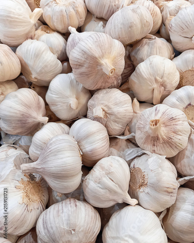Fresh garlic bulbs background