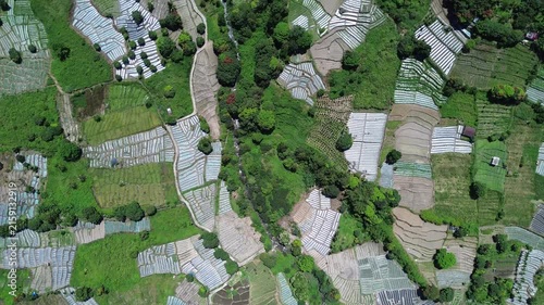 Aerial view of green hills