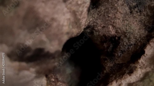Malta, Xemxija Heritage trail, Punic caves. look into holes in the cave walls and celling
