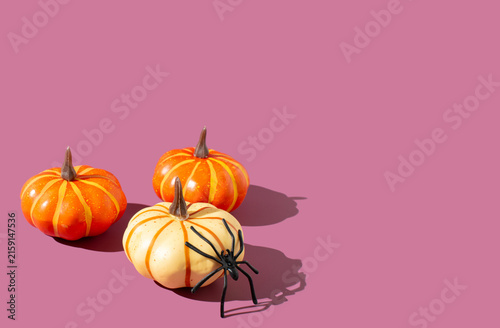 Canvas Print Pumpkins and black spider on a bright pastel purple background