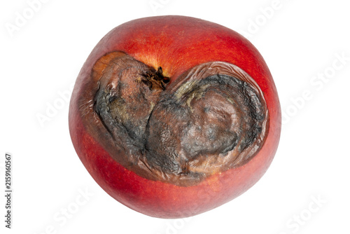 Red apple fruit surface showing fungal rot decay pathology damage