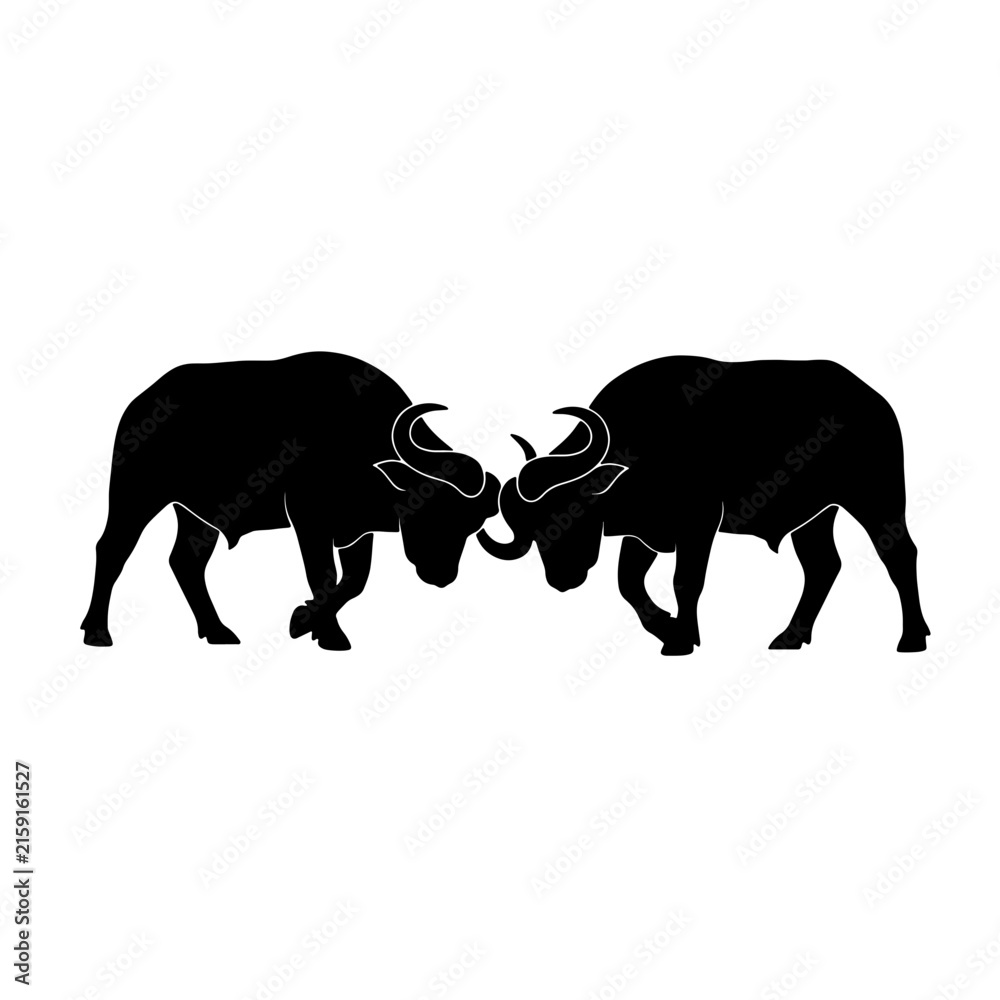 Fototapeta premium Black silhouette illustration of two strong African buffaloes clashing and locking horns in battle, isolated on a clean white background.