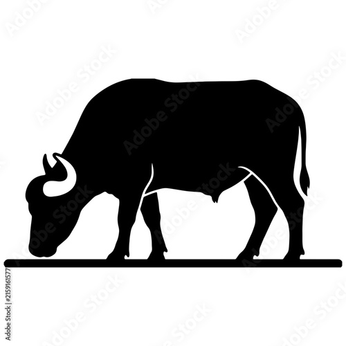 Black silhouette of a grazing buffalo bull standing on a line, minimalist vector illustration isolated on a white background.