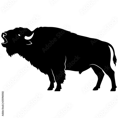 Black silhouette of an American bison roaring, standing side view isolated on white background, powerful wild buffalo vector illustration