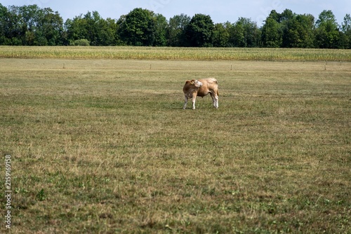 Dürre und Landwirtschaft