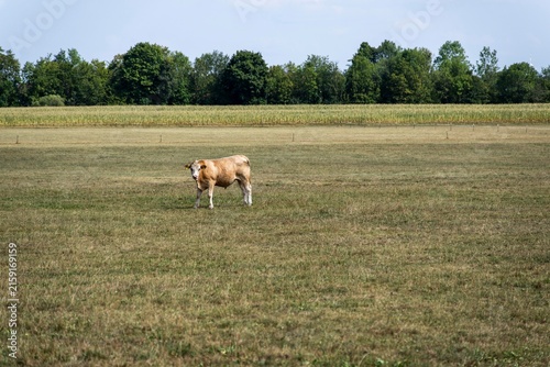 Dürre und Landwirtschaft