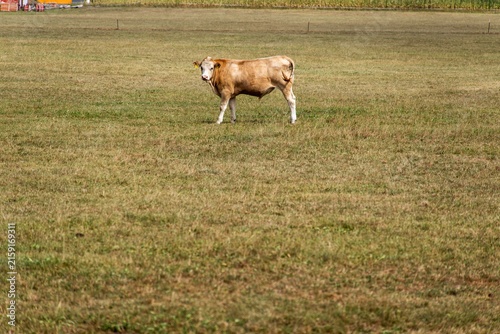 Dürre und Landwirtschaft