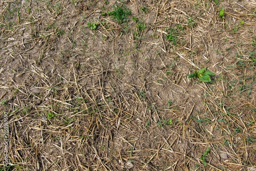 Dürre und Landwirtschaft