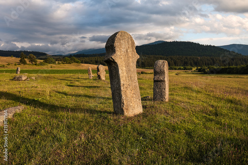 Quadro su tela Medieval stecci tombstones at Maculje in Bosnia and Herzegovina, standing in a m