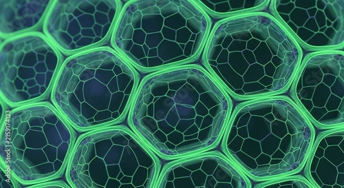 Green hexagonal pattern with black centers forming an abstract microscopic structure