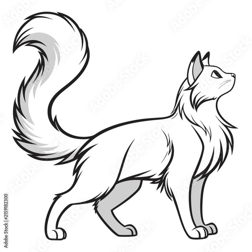 Fluffy cat standing with tail up, black and white line isolated on white background, feline