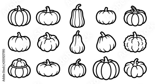Collection of hand drawn pumpkins and gourds isolated on a white background for autumn harvest season designs