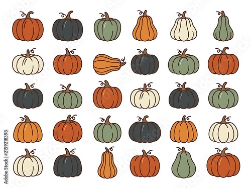 Colorful assortment of pumpkins and gourds illustrated in flat design style