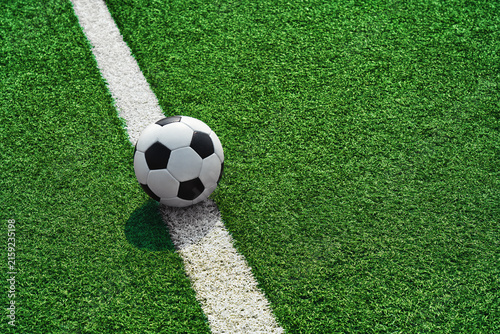 Green grass texture - well-groomed turf in the garden. The lines marking the playing area .