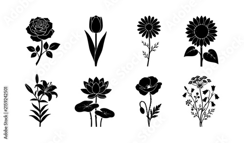 Various Flower Black Silhouette Collection White Background Vector