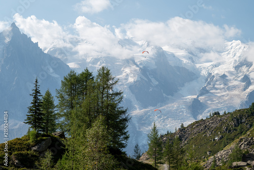 Summer view of the snow-covered Mont Blanc massif rising above forested slopes near Chamonix, France.