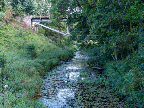 A small river flowing under a metal railway bridge in the forest.