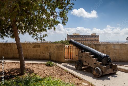 A historic cannon points from Hastings Gardens' ramparts in Valletta, Malta, framed by a pine tree with Floriana's skyline beyond