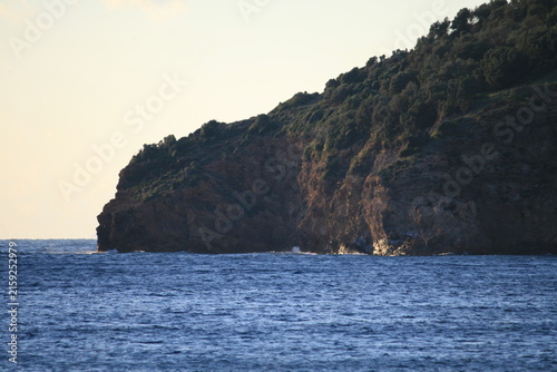 Bild auf Leinwand Scenic coastal landscape featuring a steep, vegetated cliff dropping into the deep blue sea with white foam waves crashing at the base