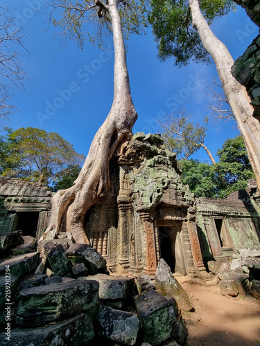 Konstfotografi Low angle view of tall tree roots growing over ancient Ta Prohm temple stones in Angkor Wat, Cambodia