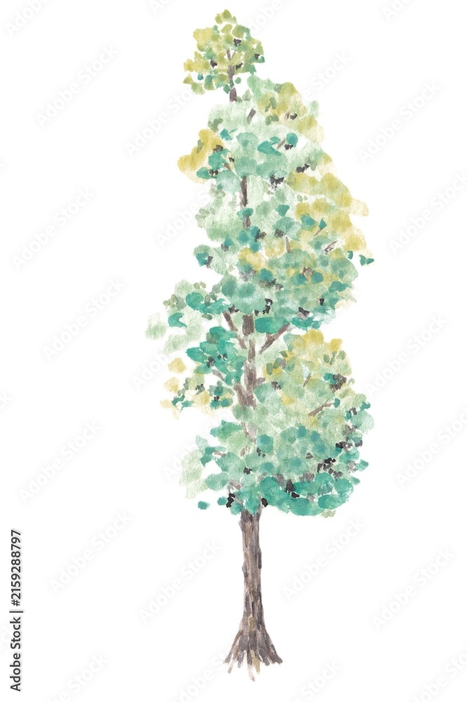 Fototapeta premium green tree with leaves, hand-painted watercolor painting