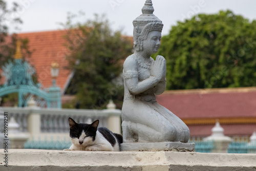 Photography chat endormi à coté d'une statue au palais royal de phnom penh