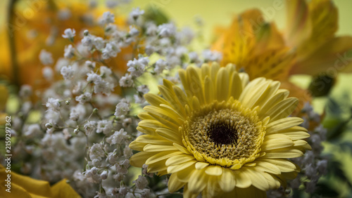 Obraz na płótnie Yellow Bouquet with Gerbera Daisy, Lilies and Baby’s Breath