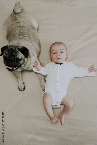 1 month newborn baby boy and pug dog peacefully resting together. Pet and infant lying side by side naturally in harmony with peaceful atmosphere. The concept of relationships between baby and pet dog