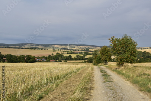 Landschaft und Ausblick in der Abendsonne bei Einbeck