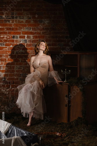 Canvas Print Portrait of serene woman wearing sheer layered gown, seated on wooden cabinet be