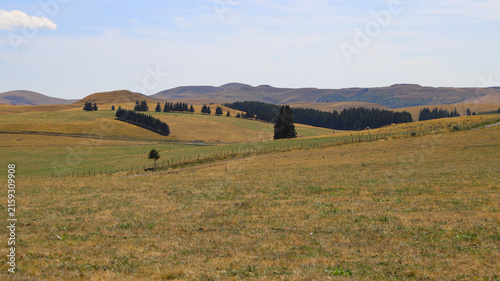 plateau du Cézalier
