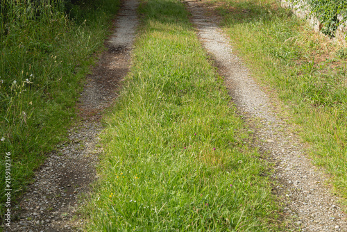 Fotografía Le passage d'un chemin avec du sable, des gravier et de l'herbe