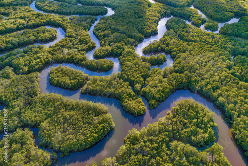 Aerial view of dense mangrove islands divided by winding tidal channels and reflective waterways.