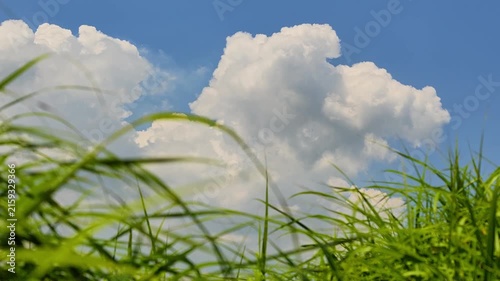 夏の入道雲と草原　阿蘇