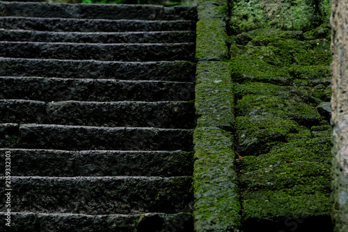 Spiritual landscape Japan, Mindfulness background, Quiet forest path, Traditional rural community, Historic stone stairs leading to serenity, Perfect for meditation and religious heritage concepts